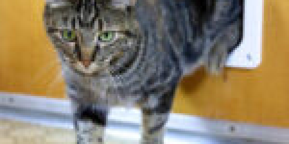 How Adding A Cat Flap Specialist To Your Life's Journey Will Make The An Impact