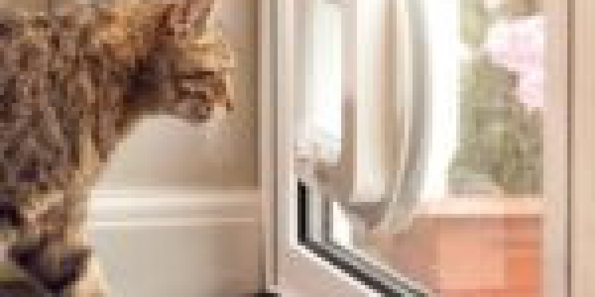 16 Must-Follow Instagram Pages For Quick Cat Flap Installation Marketers