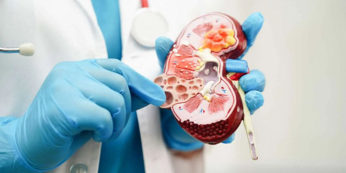 Urology Consumables Market 2031: Opportunities, Size, Share, and Growth Factors