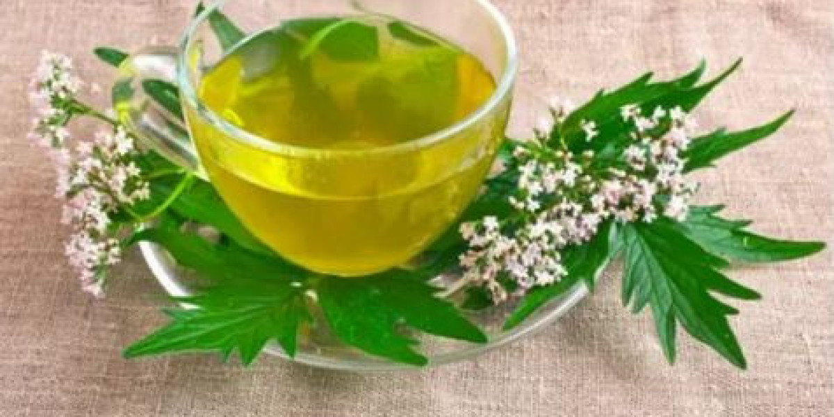 Valerian Tea Market 2031: Detailed Overview, Analysis, and Opportunities
