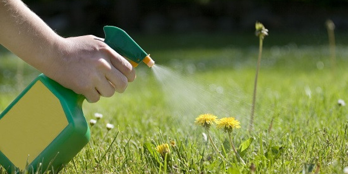 Herbicides Market: Strategic Analysis of Key Segments and Regional Dynamics