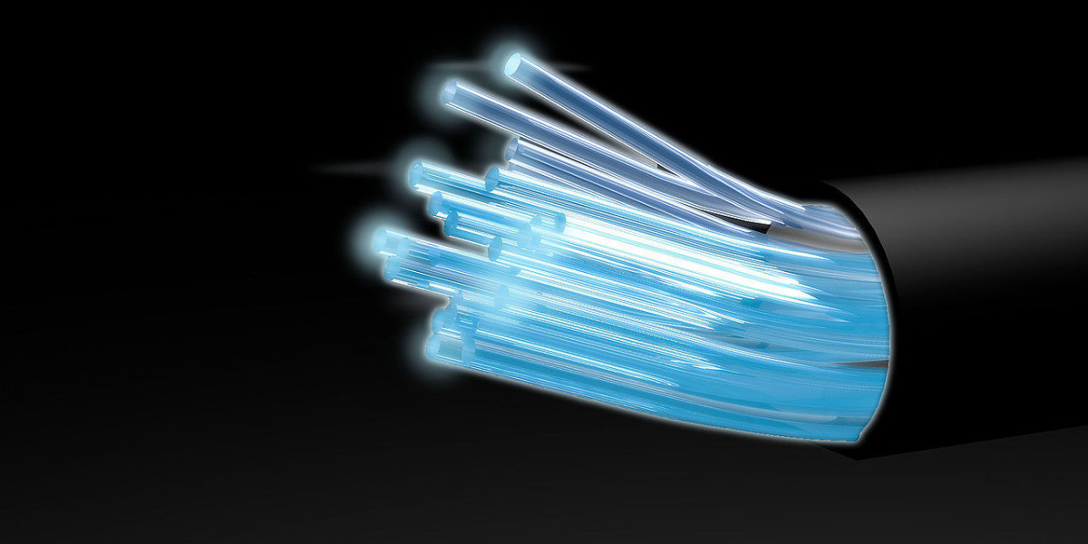 Dark Fiber Market 2031: Competitive Landscape, Trends, and Challenges