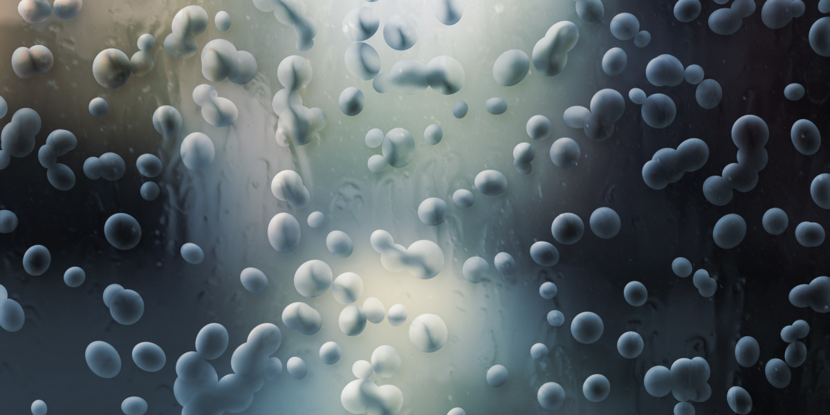 Erectile Dysfunction Treatments That Work: A Complete Study Report