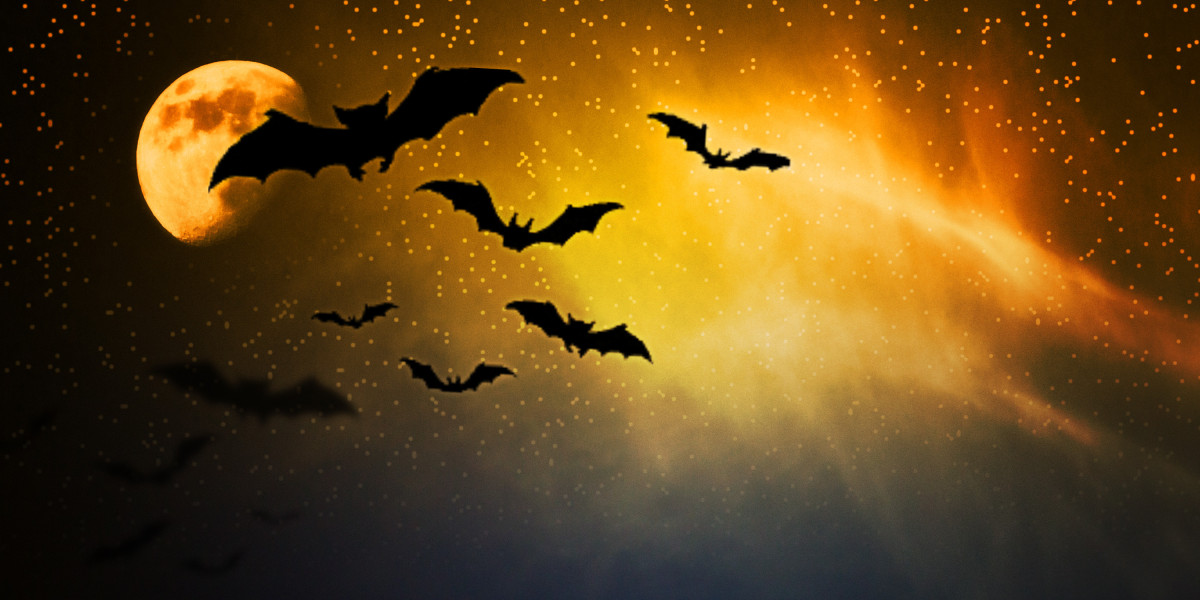 Case Research: The web Purchase of Modafinil in the UK