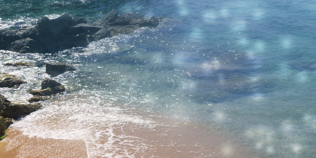 Elevating Group Travel: A Case Research On Private Jet Group Travel