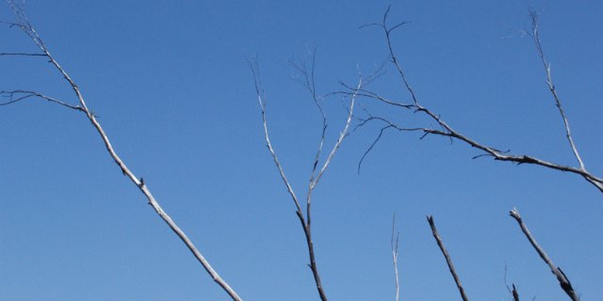 Wachstumshormone: Das Geheimnis für Muskelaufbau und Regeneration