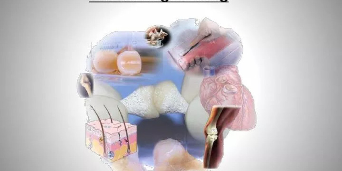 Rising Demand for Regenerative Therapies Fuels Growth in Tissue Engineering Market