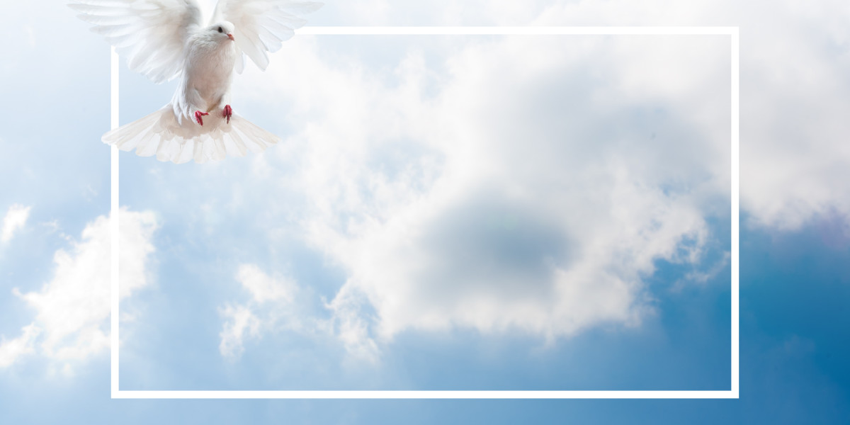 Exploring the Advantages of Private Jet Charter For Firms