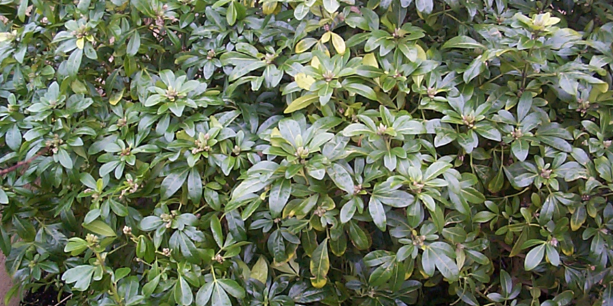 Login, Welcome Bonus Up To $1000