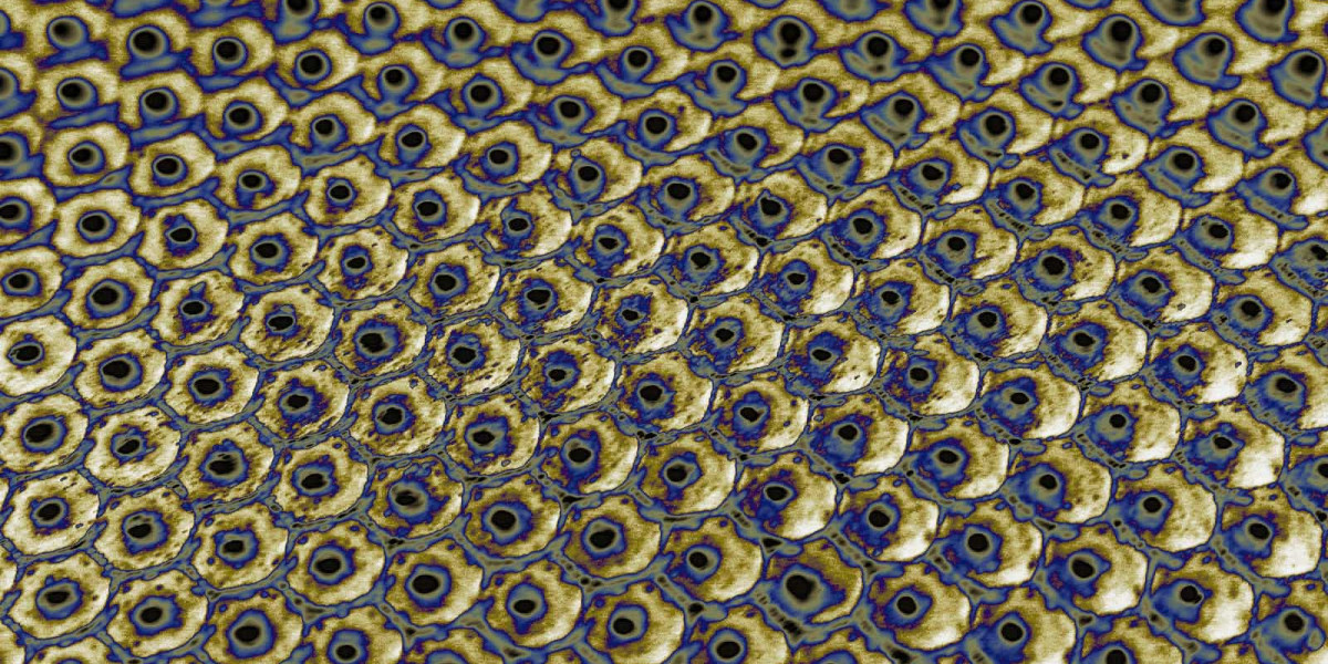 Meet the People Behind the Play