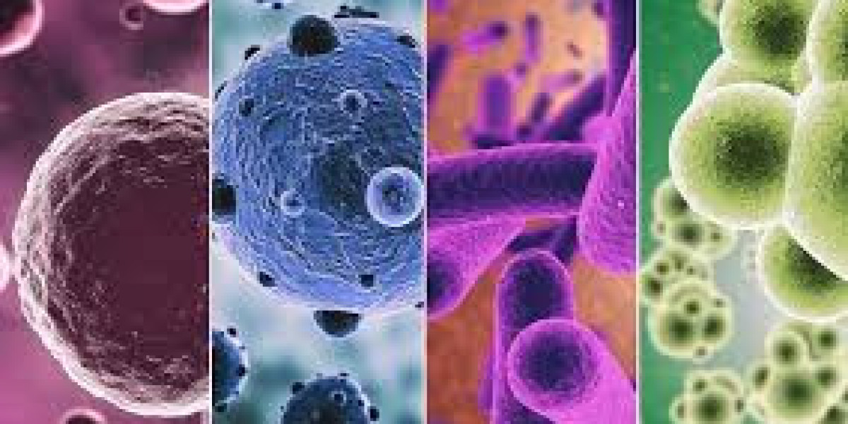 Best Treatment for a Bacterial Infection: What You Should Know