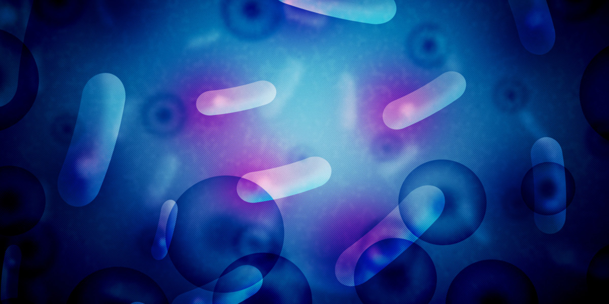 Modafinil in Germany: Navigating the Market for Cognitive Enhancement