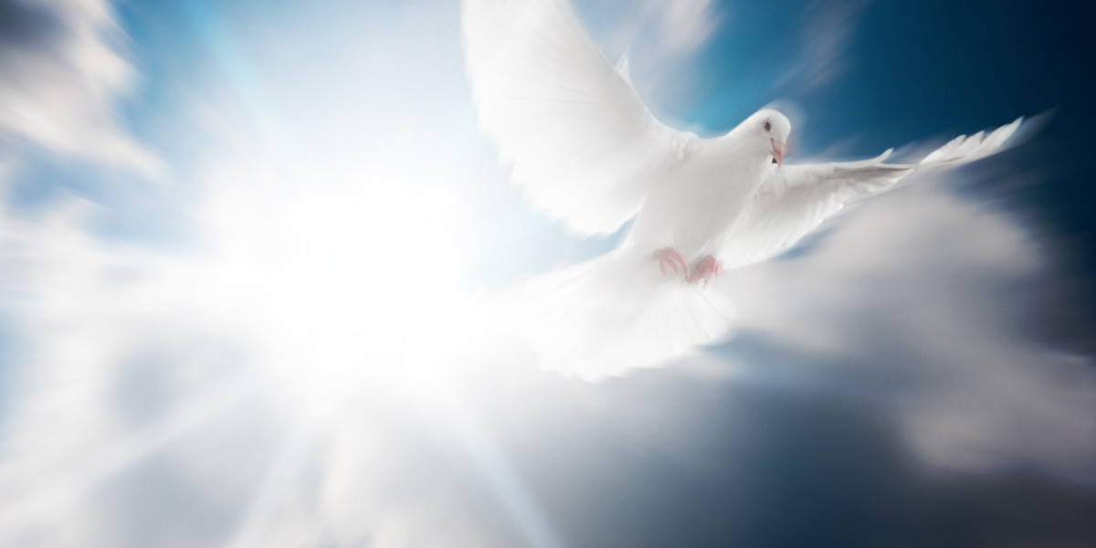 The Rise of Sugar Daddy Sites in New Zealand: A Brand new Era Of Relationships