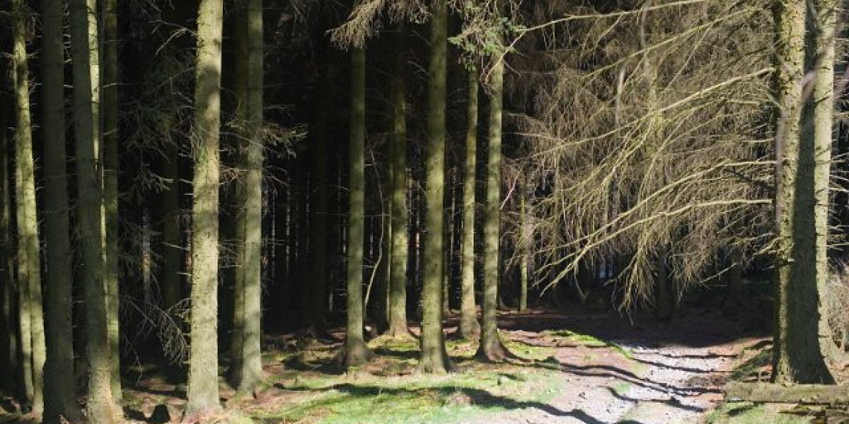 Safe & Secure Online Casinos Find Trusted Sites and Mobile Casinos