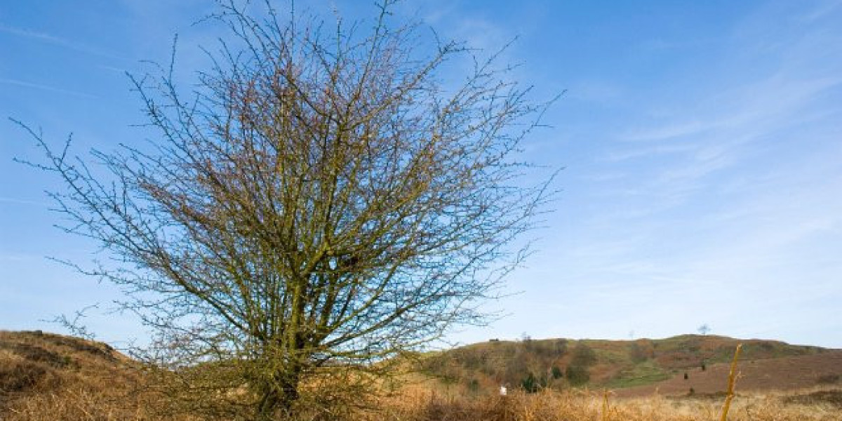 PlayCroco Casino Review Expert & Player Ratings 2025