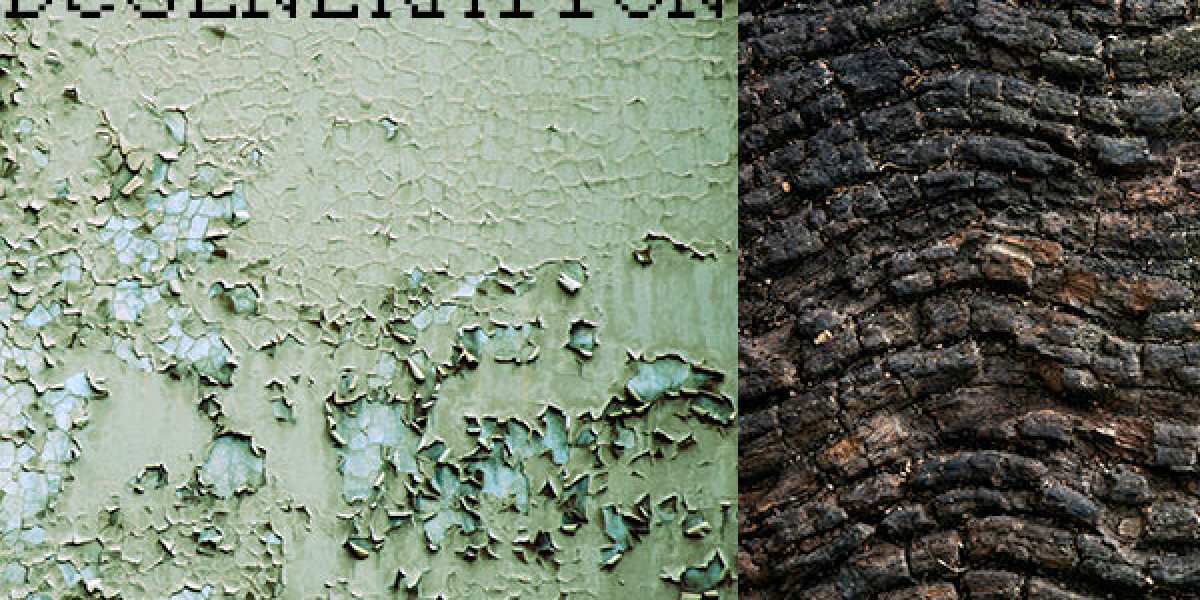 Meet the People Behind the Play