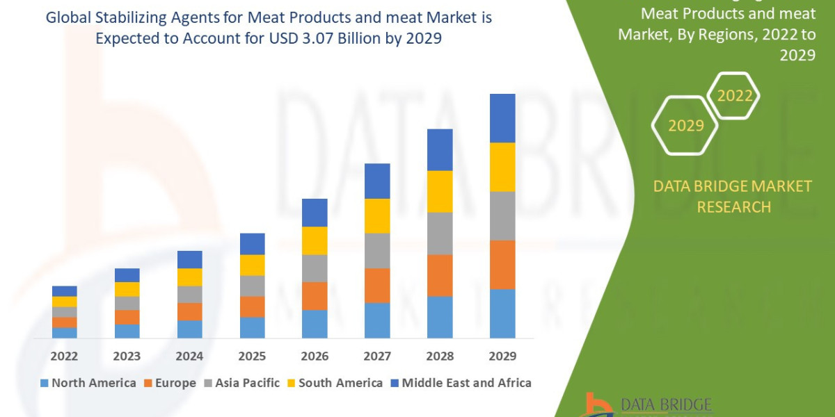 Stabilizing Agents for Meat Products Market Size, Share, and Growth Forecast : Key Trends and Segment Analysis