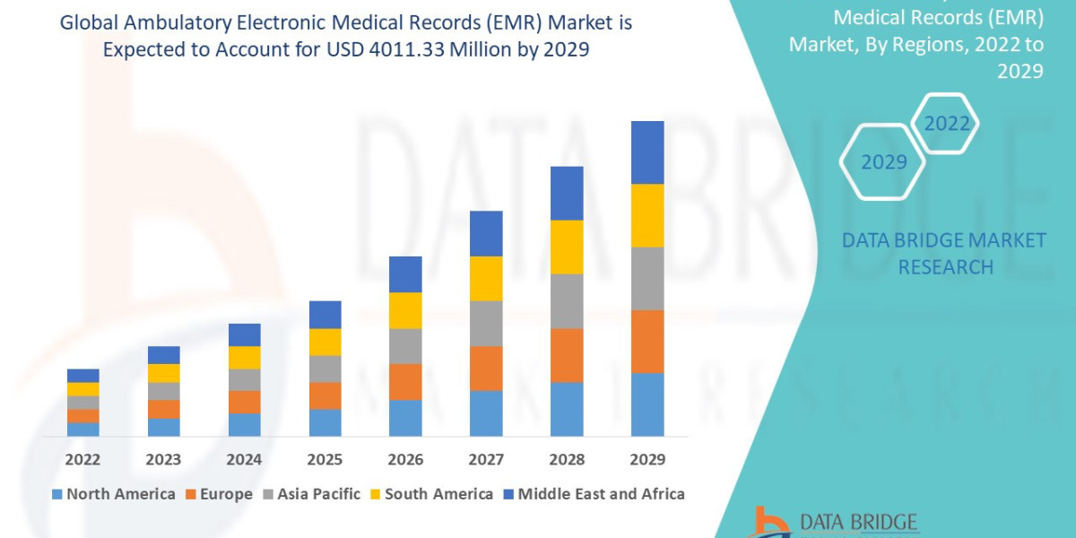 Ambulatory Electronic Medical Records (EMR) Market Insights: Share, Size, Growth Trends & Forecast
